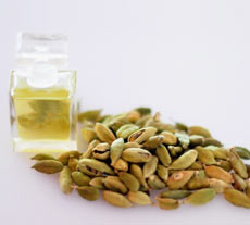 CARDAMOM ABSOLUTE - Absolute